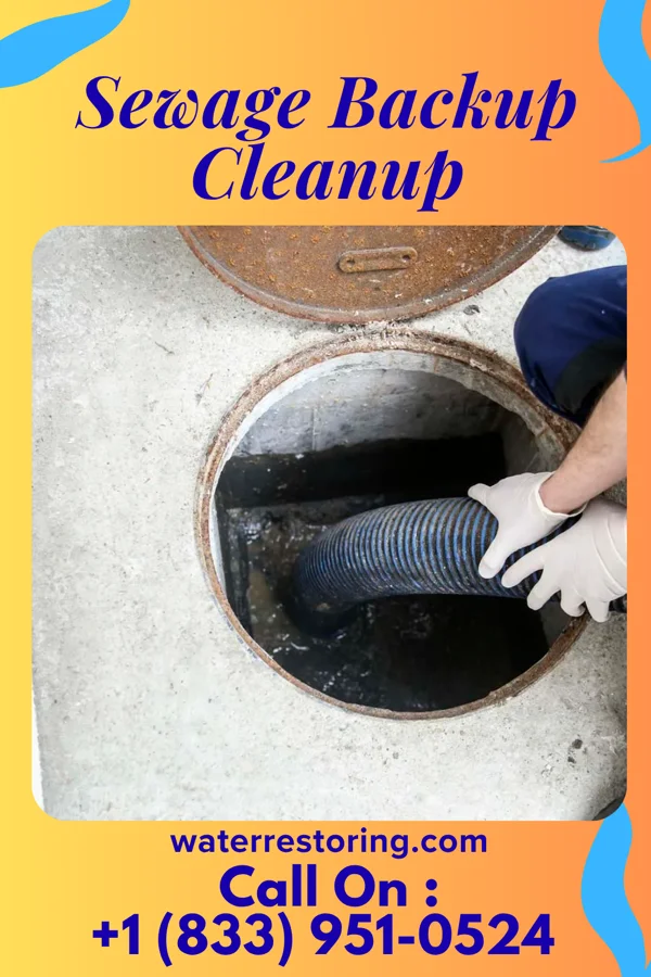 Sewage Backup Cleanup in Deep River, IA