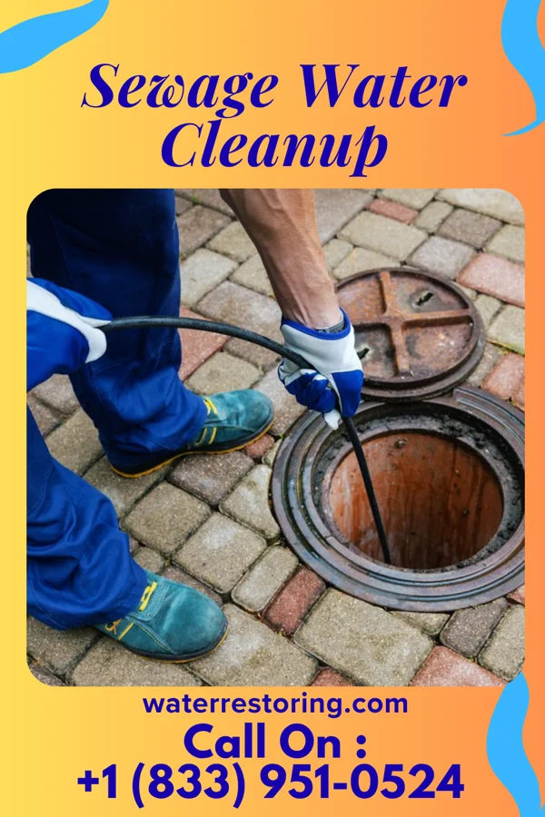 Sewage Water Cleanup in Deep River, IA